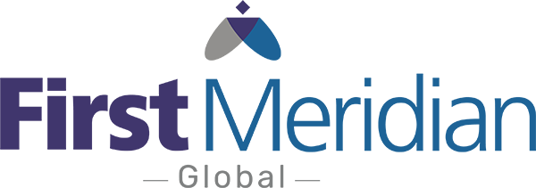 V5 Global Services Logo